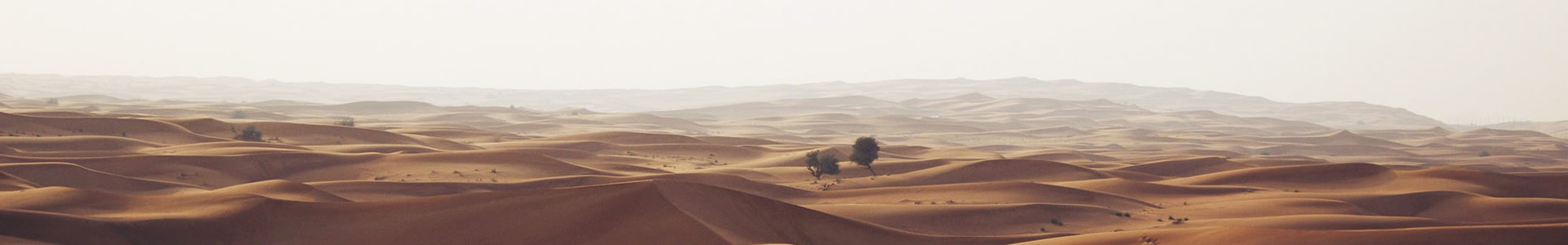 ൺԽƼ޹˾